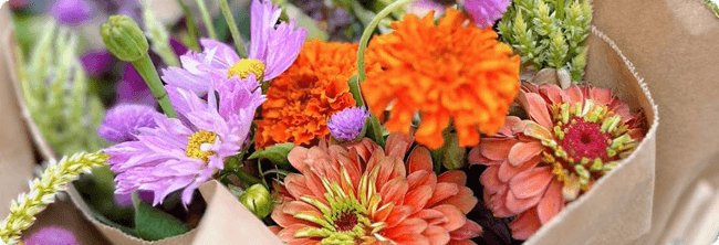 Bouquet of flowers